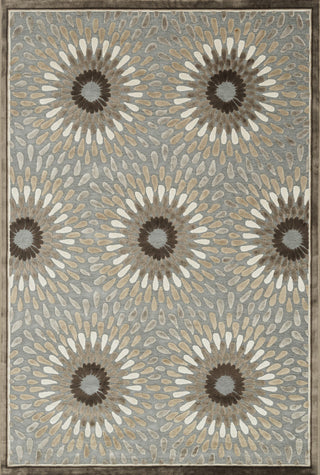 Loloi Halton HL-17 Grey / Brown Area Rug main image