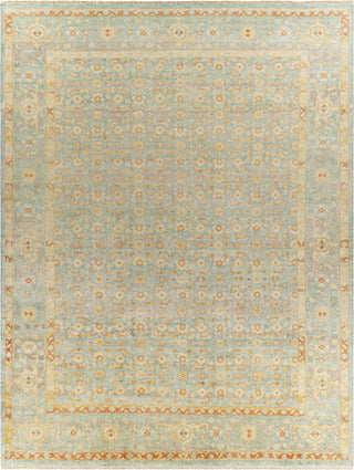 Surya Hamadan HAM-2302 Area Rug 9'x12'