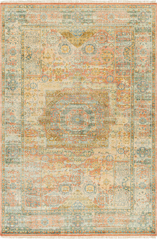 Surya Hamadan HAM-2304 Area Rug main image