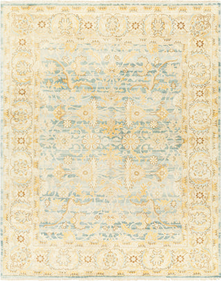 Surya Hamadan HAM-2305 Area Rug main image