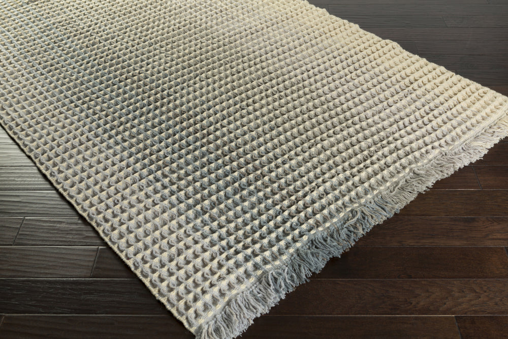 Surya Hannah HAN-6001 Area Rug by Papilio 5x8 Corner Feature