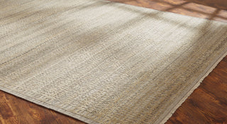 Ancient Boundaries Happy HAP-01 Natural Tones Area Rug Lifestyle Image