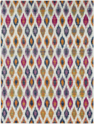 Surya Harput HAP-1005 Neutral/Blue Area Rug 7'10'' X 10'3''