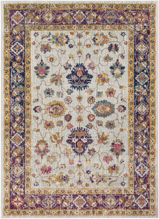 Surya Harput HAP-1006 Neutral/Orange Area Rug main image