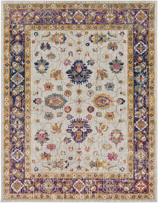 Surya Harput HAP-1006 Neutral/Orange Area Rug 7'10'' X 10'3''