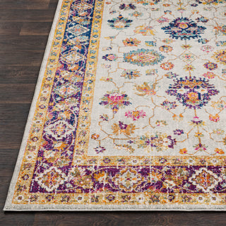 Surya Harput HAP-1006 Area Rug Detail Image