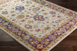 Surya Harput HAP-1006 Neutral/Orange Area Rug Closeup