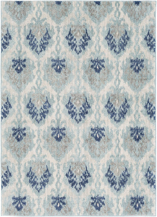 Surya Harput HAP-1012 Blue/Neutral Area Rug main image