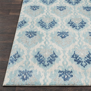 Surya Harput HAP-1012 Area Rug Detail Image