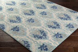 Surya Harput HAP-1012 Blue/Neutral Area Rug Closeup