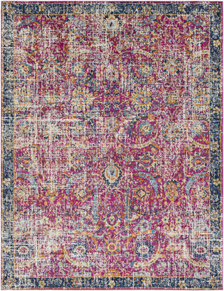 Surya Harput HAP-1013 Pink/Blue Area Rug 7'10'' X 10'3''