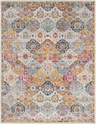 Surya Harput HAP-1018 Neutral/Orange Area Rug 7'10'' X 10'3''