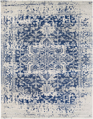 Surya Harput HAP-1021 Neutral/Blue Area Rug 7'10'' X 10'3''