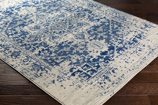 Surya Harput HAP-1021 Neutral/Blue Area Rug Closeup