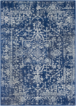 Surya Harput HAP-1022 Blue/Neutral Area Rug main image