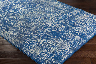 Surya Harput HAP-1022 Blue/Neutral Area Rug Closeup