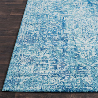 Surya Harput HAP-1023 Area Rug Detail Image