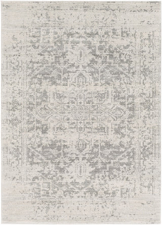 Surya Harput HAP-1024 Neutral/Grey Area Rug Main Image 5'3"x7'3" Size 