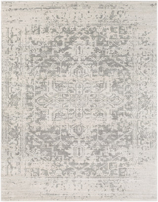 Surya Harput HAP-1024 Neutral/Grey Area Rug 7'10'' X 10'3'' Size 