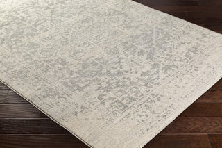 Surya Harput HAP-1024 Neutral/Grey Area Rug on Wood 