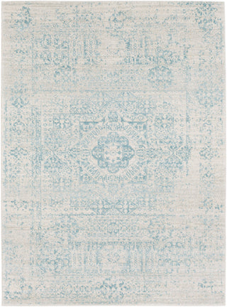 Surya Harput HAP-1026 Neutral/Blue Area Rug main image