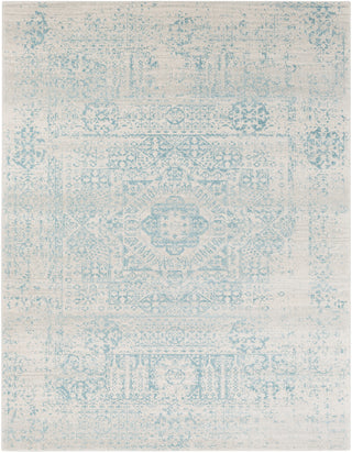 Livabliss Harput HAP-1026 Area Rug