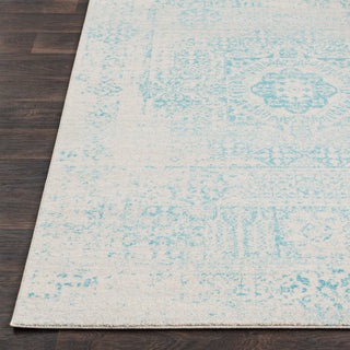 Surya Harput HAP-1026 Area Rug Detail Image