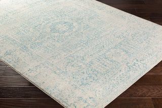 Surya Harput HAP-1026 Neutral/Blue Area Rug Closeup