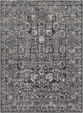 Surya Harput HAP-1028 Grey/Neutral Area Rug main image