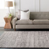 Surya Harput HAP-1029 Area Rug Room Image Feature