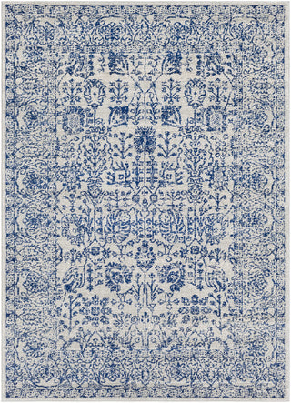 Surya Harput HAP-1030 Neutral/Blue Area Rug main image