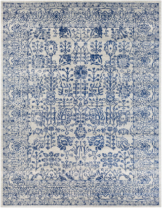 Surya Harput HAP-1030 Neutral/Blue Area Rug 7'10'' X 10'3''