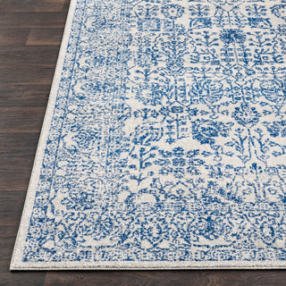 Surya Harput HAP-1030 Area Rug Detail Image