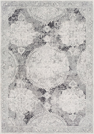 Surya Harput HAP-1041 Light Gray Medium White Charcoal Area Rug main image