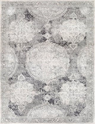 Surya Harput HAP-1041 Light Gray Medium White Charcoal Area Rug Main Image 8 X 10