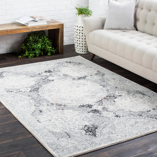 Surya Harput HAP-1041 Area Rug Room Image Feature