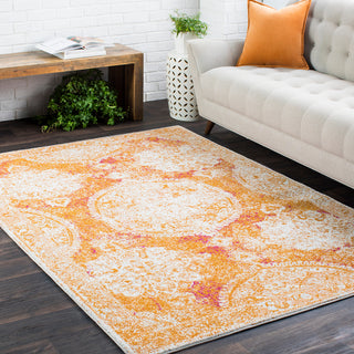 Surya Harput HAP-1042 Area Rug Room Image Feature