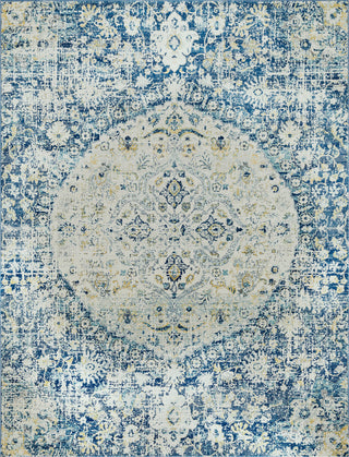 Surya Harput HAP-1046 Area Rug Main Image 8 X 10