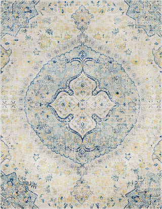 Surya Harput HAP-1047 Area Rug Main Image 8 X 10