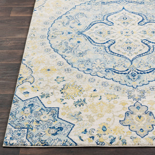 Surya Harput HAP-1048 Area Rug Detail Image