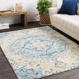 Surya Harput HAP-1048 Area Rug Room Image Feature