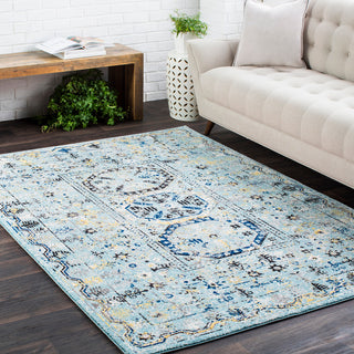 Surya Harput HAP-1050 Area Rug Room Image Feature