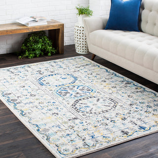 Surya Harput HAP-1053 Area Rug Room Image Feature