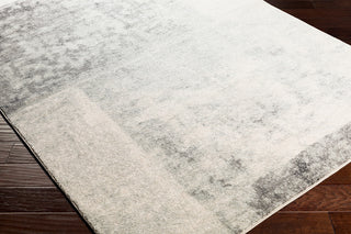 Surya Harput HAP-1059 Light Gray Beige Charcoal White Area Rug Corner Image