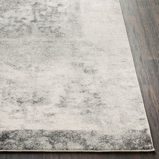 Surya Harput HAP-1059 Light Gray Beige Charcoal White Area Rug Detail Image