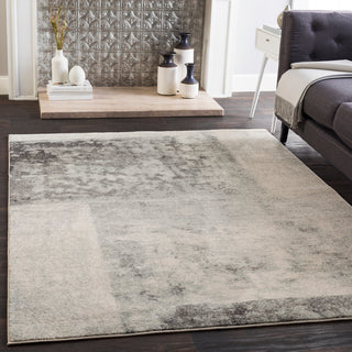 Surya Harput HAP-1059 Area Rug Room Image Feature