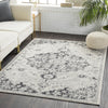 Surya Harput HAP-1061 Area Rug Room Image Feature