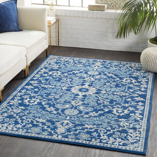 Surya Harput HAP-1068 Area Rug Room Image Feature