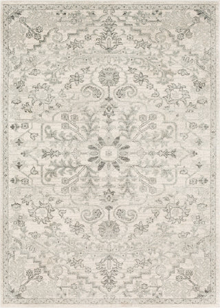 Surya Harput HAP-1069 Light Gray Charcoal Beige Area Rug main image