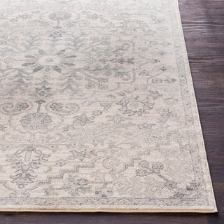 Surya Harput HAP-1069 Light Gray Charcoal Beige Area Rug Detail Image